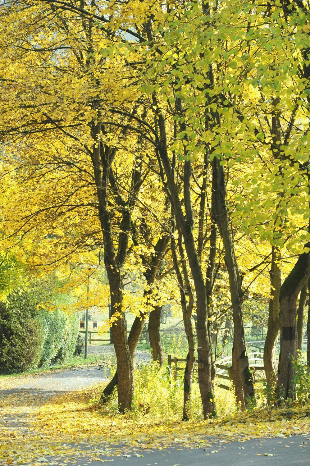 Parkhotel Bad Wunnenberg Bagian luar foto